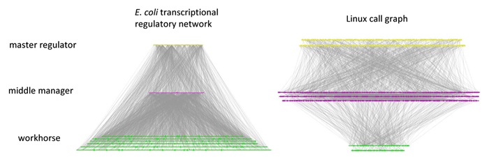 Call Graph