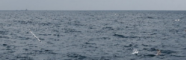 writing skagerrak